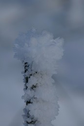 Kunst aus Eis in Fieberbrunn, Tirol
