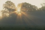 Sonne und Nebel am Morgen