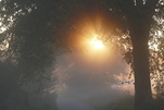 Sonne kommt langsam durch den Nebel
