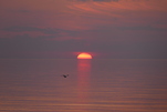 Die Sonne versinkt in der Ostsee
