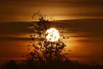 Nebelmorgen - Sonnenaufgang