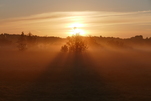 Die Sonne kämpft sich durch den Nebelmorgen