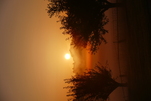Sonnenaufgang am Nebelmorgen