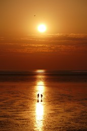 Wattwanderungen zum Sonnenuntergang, Nordsee