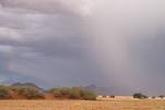 Reise-Erlebnisse:
Regen in Namibia