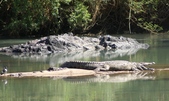 Dem Krokodil ist es langweilig, hier in Namibia