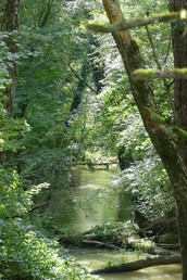 Naturbelassen in Kroatien