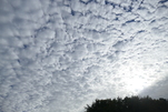 Ich kann den Blick kaum abwenden, so krasse Wolken