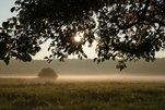 Herbstmorgen 