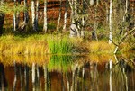 Am Mümmelkensee