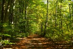 Herbstspaziergang