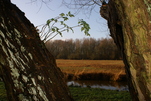 Herbstblick