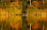 Herbstspiegelungen am Wupatzsee