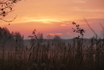Sonnenuntergang Gosener Wiesen