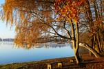 Werlsee im Herbstkleid