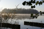 Werlsee - Idylle